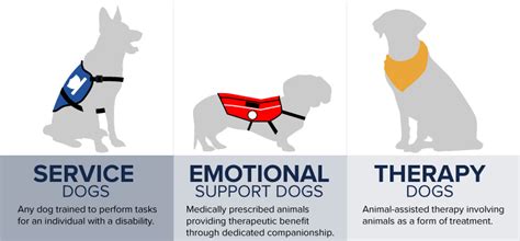 what percentage of service animals are fake